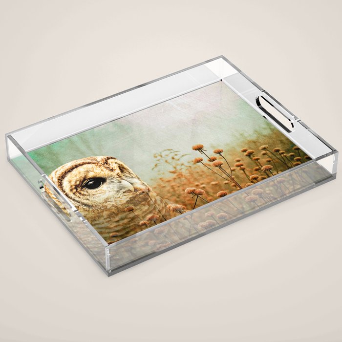 Barred Owl in Foggy Forest Acrylic Tray Gallery Image 1