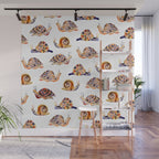 Snail Collection Wall Mural Gallery Image 1