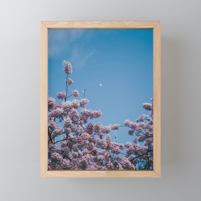 Cherry Blossom Moon Mini Art Print Gallery Image 1
