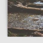 Wasatch Wilderness Poster Gallery Image 3
