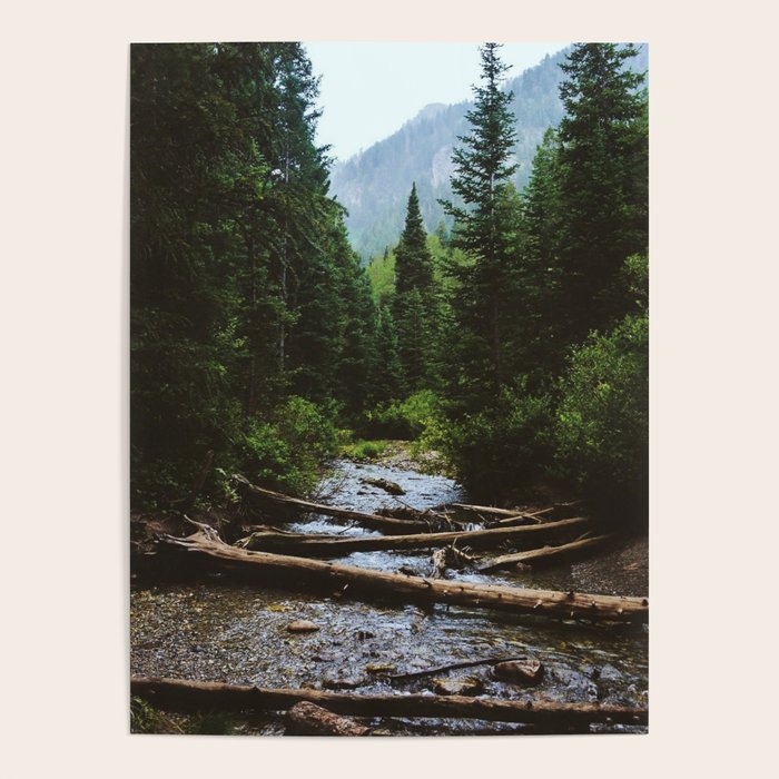 Wasatch Wilderness Poster Gallery Image 4