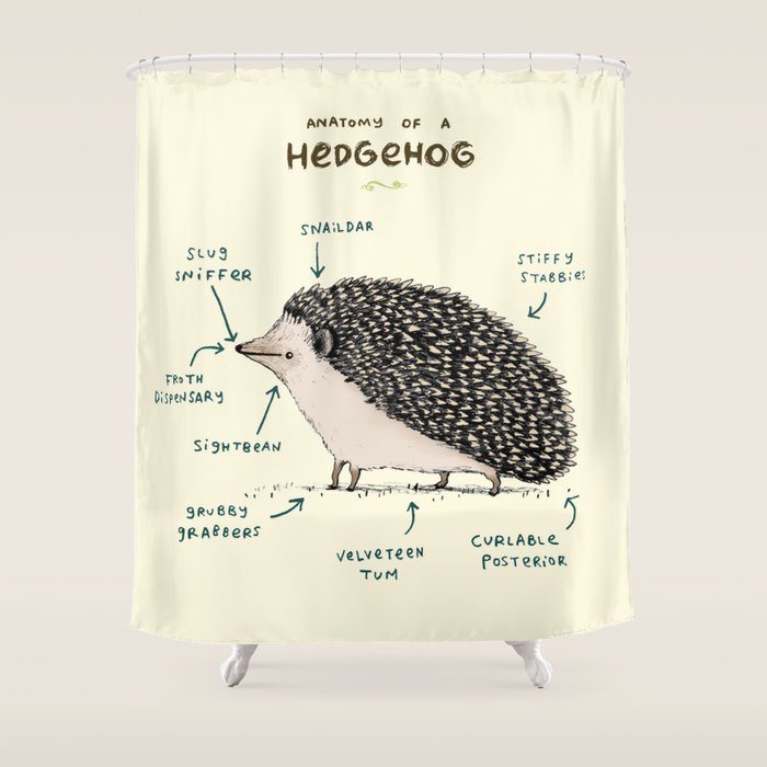 Anatomy of a Hedgehog Shower Curtain Gallery Image 1