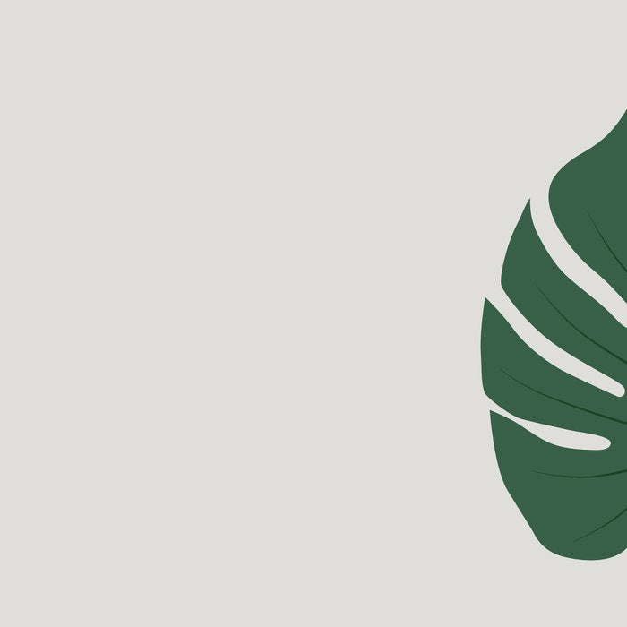 Cat and Plant 24: Meowstera Leaf Coffee Mug Gallery Image 2