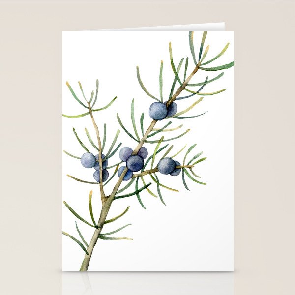 Juniper White Christmas Stationery Card Gallery Image 2