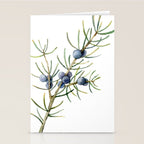 Juniper White Christmas Stationery Card Gallery Image 2