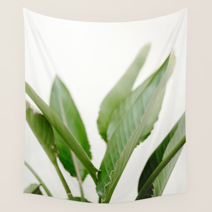 For the love of palms | Botanical fine art photography | Pastel tones in Europe Wall Tapestry Gallery Image 4