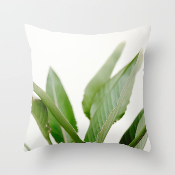 For the love of palms | Botanical fine art photography | Pastel tones in Europe Throw Pillow Gallery Image 6