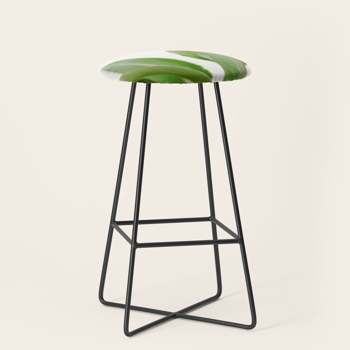 For the love of palms | Botanical fine art photography | Pastel tones in Europe Stool Gallery Image 1