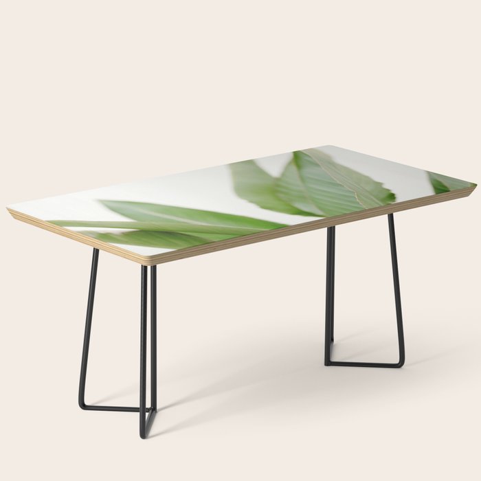 For the love of palms | Botanical fine art photography | Pastel tones in Europe Coffee Table Gallery Image 1