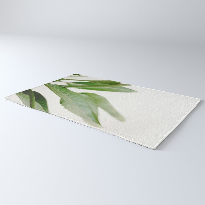 For the love of palms | Botanical fine art photography | Pastel tones in Europe Rug Gallery Image 3