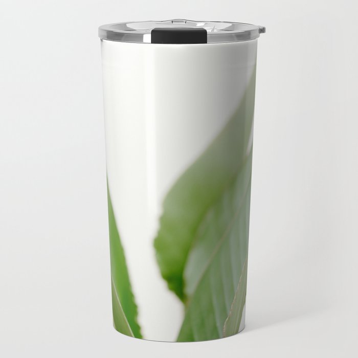 For the love of palms | Botanical fine art photography | Pastel tones in Europe Travel Mug Gallery Image 1