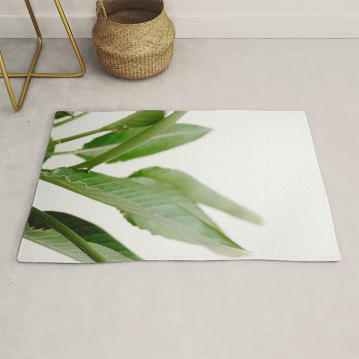 For the love of palms | Botanical fine art photography | Pastel tones in Europe Rug Gallery Image 1
