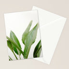 For the love of palms | Botanical fine art photography | Pastel tones in Europe Stationery Card Gallery Image 2