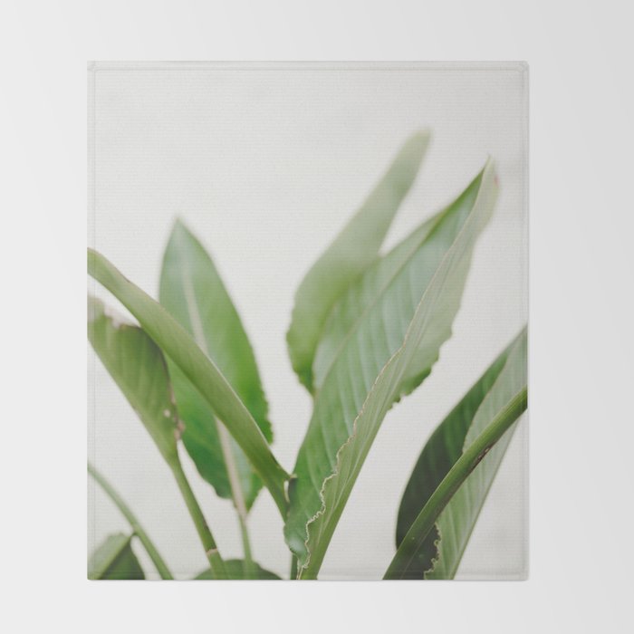 For the love of palms | Botanical fine art photography | Pastel tones in Europe Throw Blanket Gallery Image 2