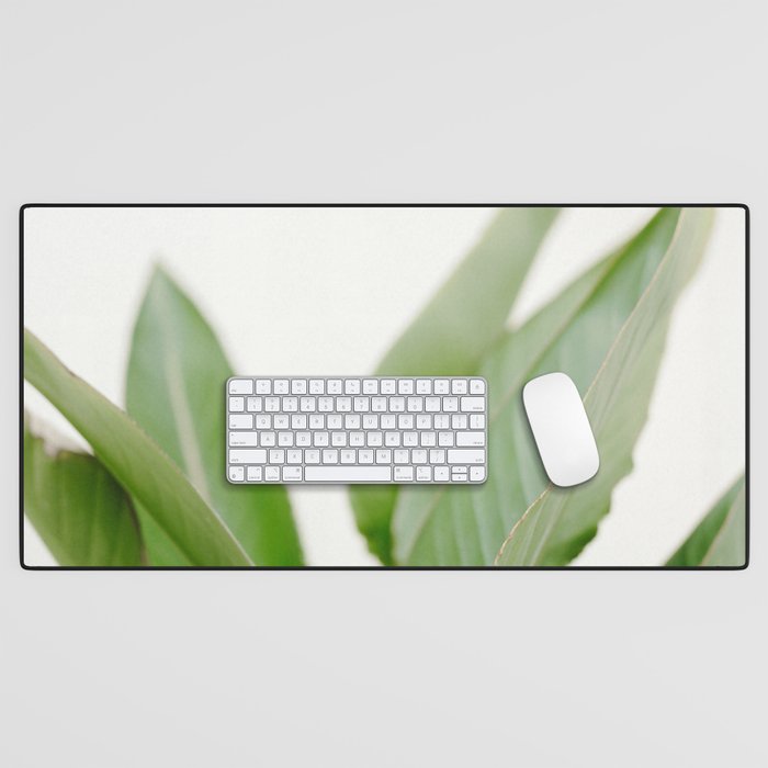 For the love of palms | Botanical fine art photography | Pastel tones in Europe Desk Mat Gallery Image 1