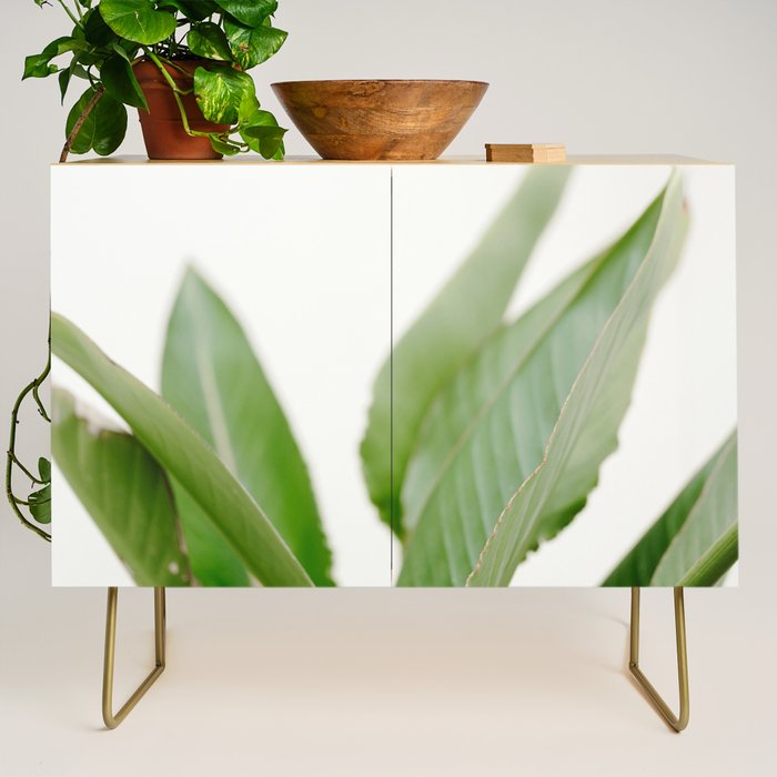For the love of palms | Botanical fine art photography | Pastel tones in Europe Credenza Gallery Image 1