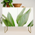 For the love of palms | Botanical fine art photography | Pastel tones in Europe Credenza Gallery Image 1
