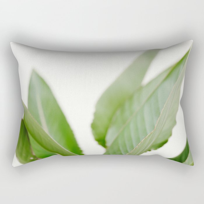 For the love of palms | Botanical fine art photography | Pastel tones in Europe Rectangular Pillow Gallery Image 1