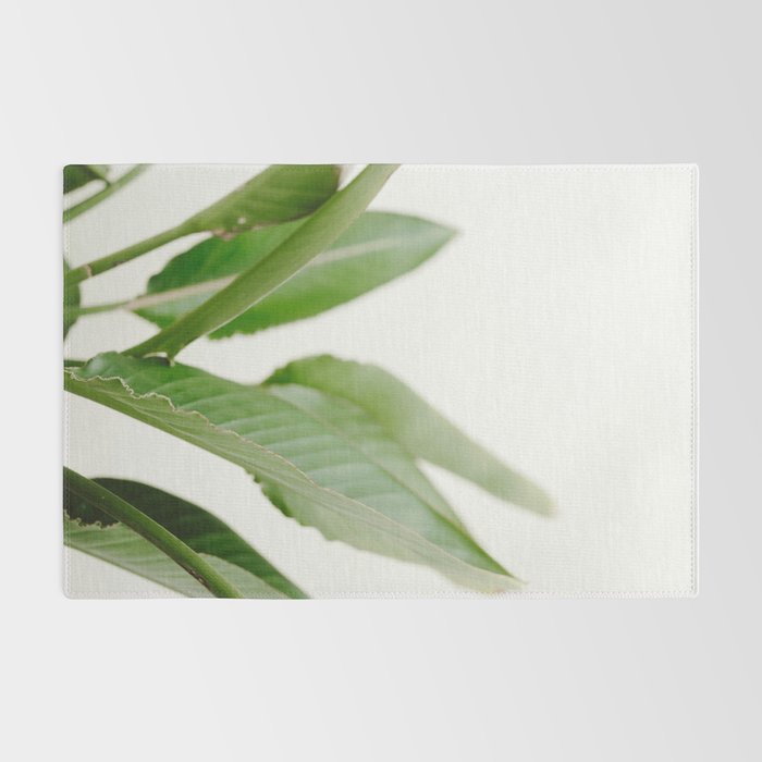 For the love of palms | Botanical fine art photography | Pastel tones in Europe Rug Gallery Image 2