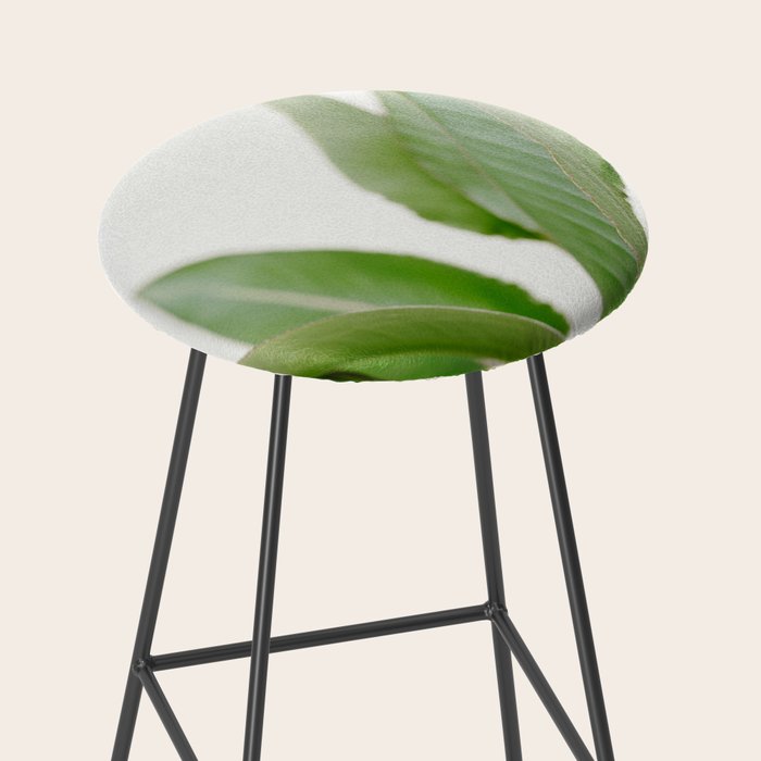 For the love of palms | Botanical fine art photography | Pastel tones in Europe Stool Gallery Image 2