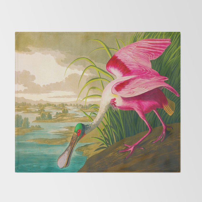 Roseate Spoonbill Bird pink Throw Blanket Gallery Image 2