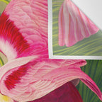 Roseate Spoonbill Bird pink Wall Tapestry Gallery Image 3