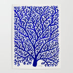 Fan Coral - Navy Poster Gallery Image 4
