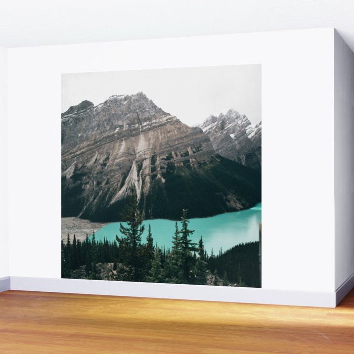 Peyto Lake II Wall Mural Gallery Image 2