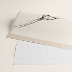 Hare Pair Wrapping Paper Gallery Image 2