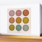 Rainbow Disco Balls Wall Mural Gallery Image 2