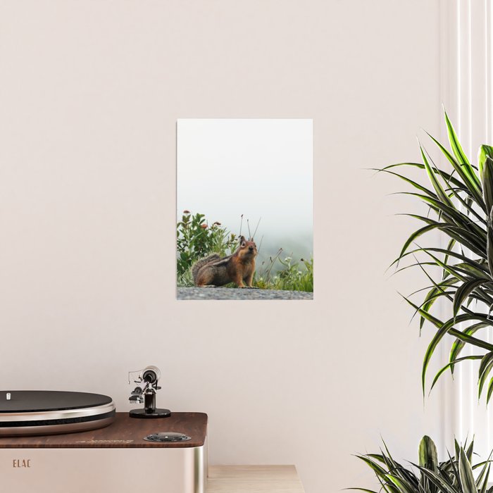 Little Chipmunk Poster Gallery Image 2