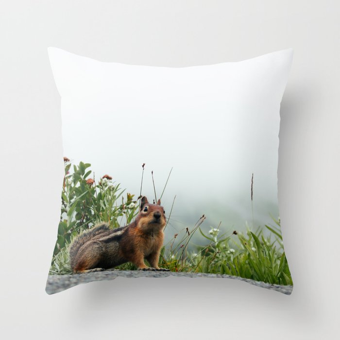 Little Chipmunk Throw Pillow Gallery Image 6