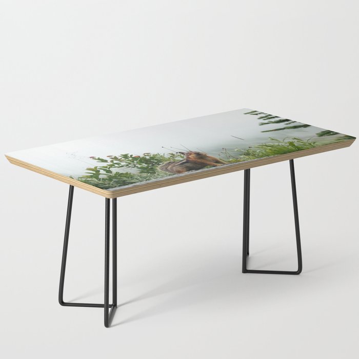Little Chipmunk Coffee Table Gallery Image 1