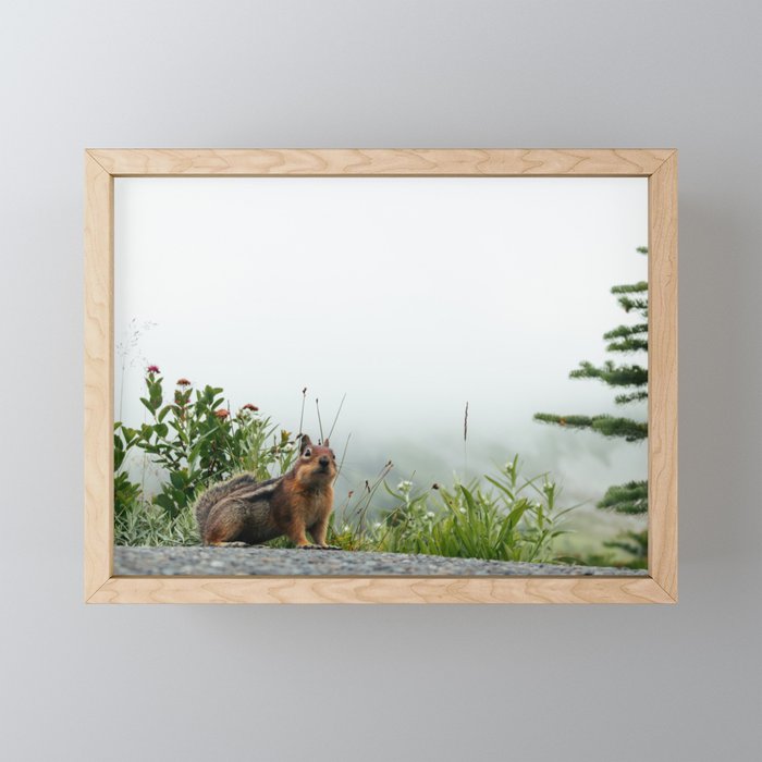 Little Chipmunk Mini Art Print Gallery Image 1