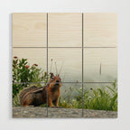 Little Chipmunk Wood Wall Art Gallery Image 1