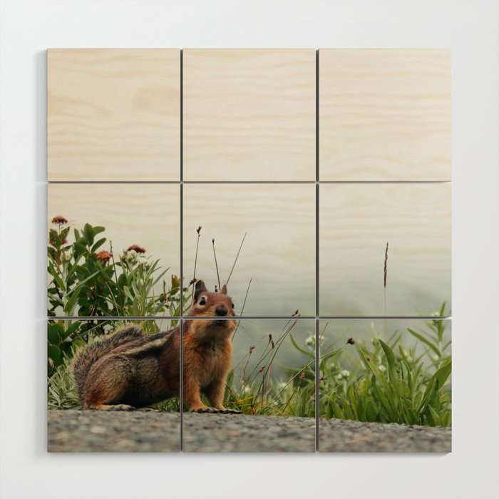 Little Chipmunk Wood Wall Art Gallery Image 1