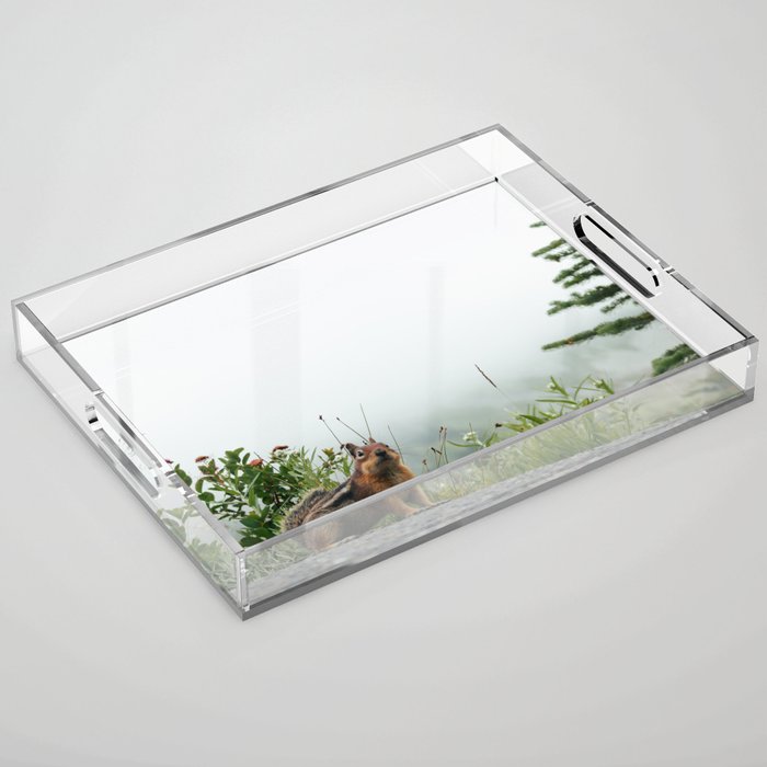 Little Chipmunk Acrylic Tray Gallery Image 1