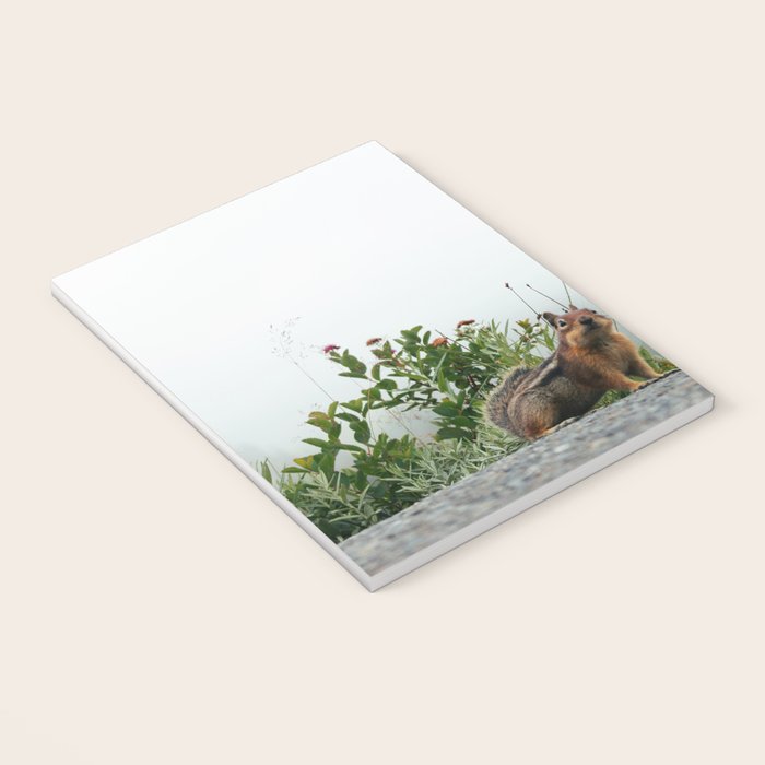 Little Chipmunk Notebook Gallery Image 3