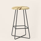 Antique Antlers Stool Gallery Image 1