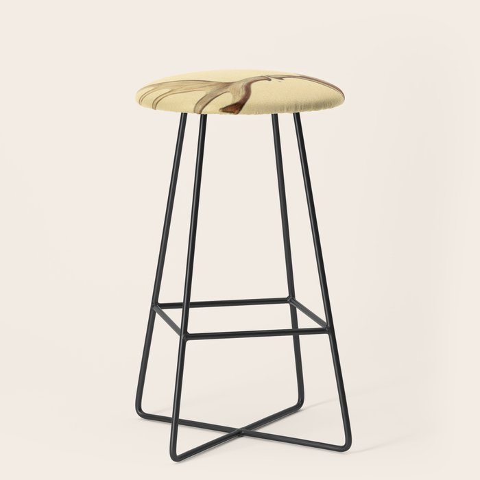 Antique Antlers Stool Gallery Image 1