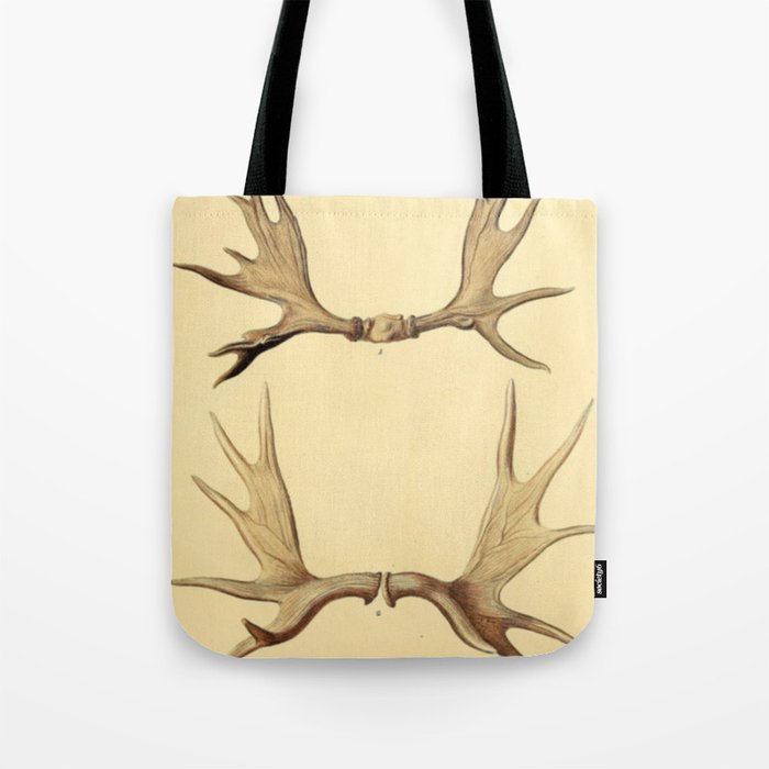 Antique Antlers Tote Bag Gallery Image 1