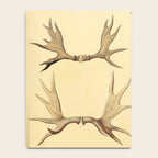 Antique Antlers Notebook Gallery Image 4