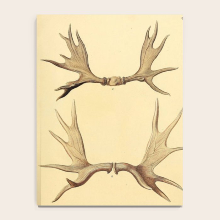 Antique Antlers Notebook Gallery Image 4