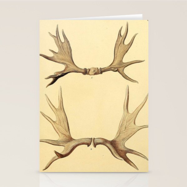 Antique Antlers Stationery Card Gallery Image 1