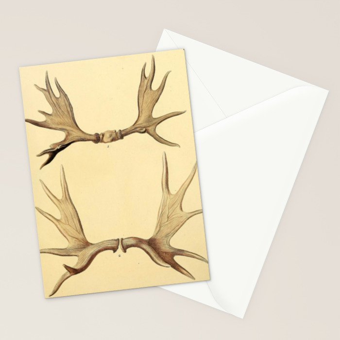 Antique Antlers Stationery Card Gallery Image 2