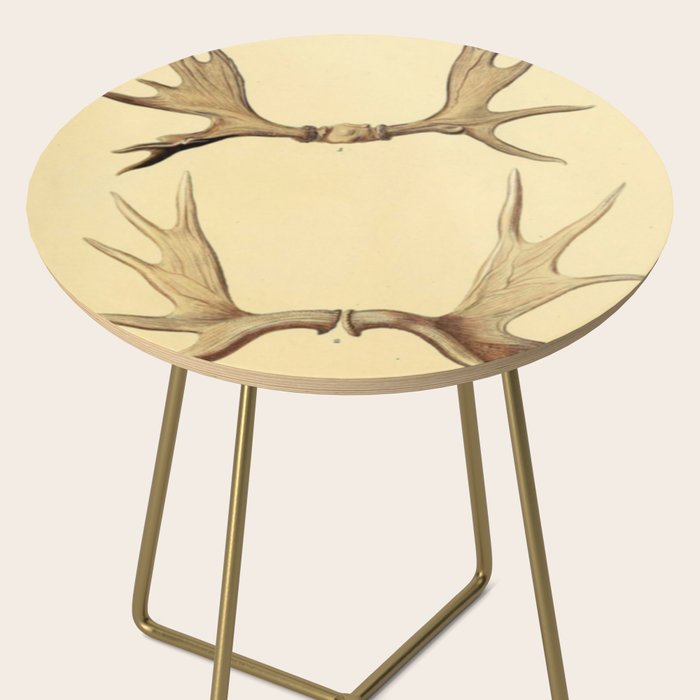 Antique Antlers Side Table Gallery Image 2
