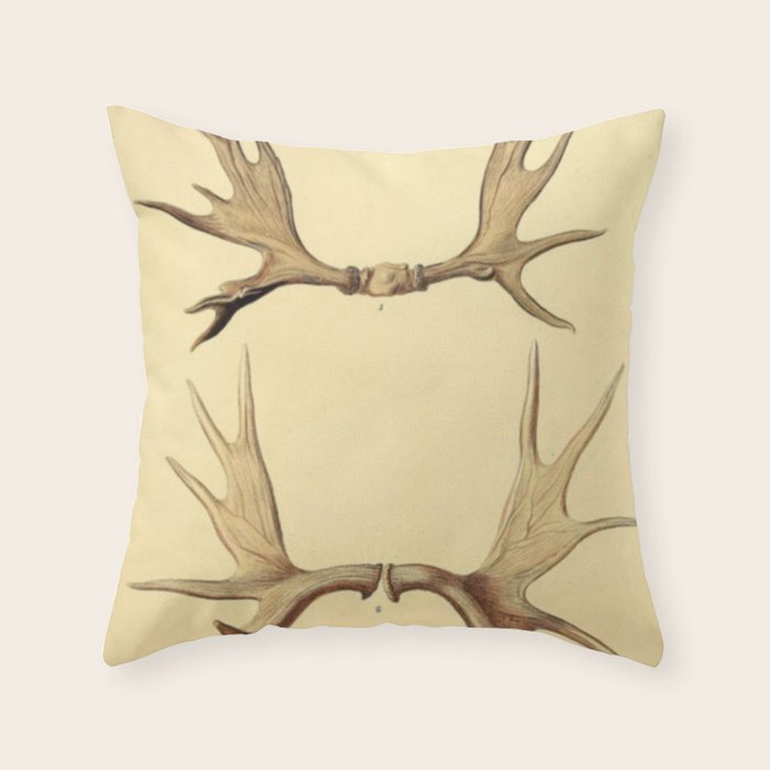 Antique Antlers Throw Pillow Gallery Image 1