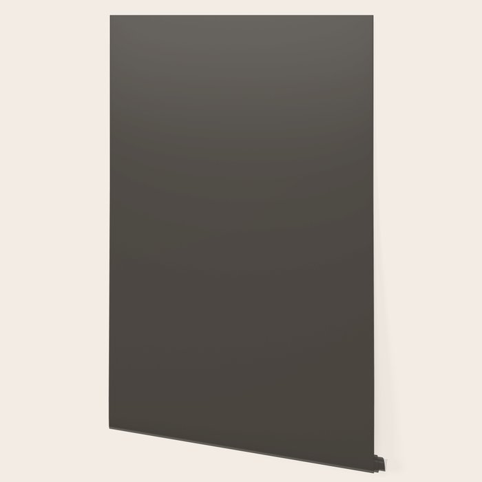 Neutral Taupe Grey Solid Color Wallpaper Gallery Image 2