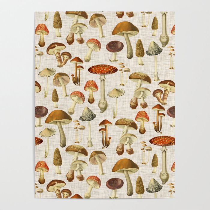 Mushroom Poster Gallery Image 1