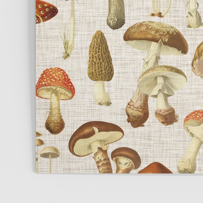 Mushroom Poster Gallery Image 3